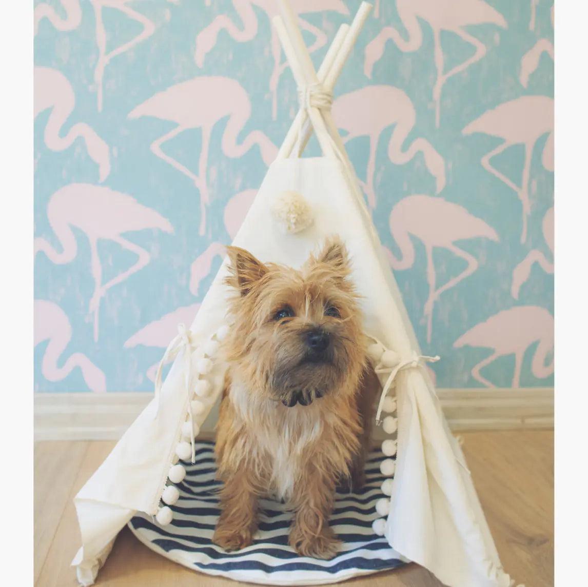 Breathable Pet Tent Bed with Wooden Frame – Cozy Teepee for Dogs & Cats